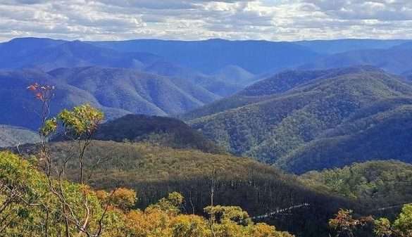 Katoomba to Katoomba (Dunphy’s campground, Carlons Head, NN) (33km)