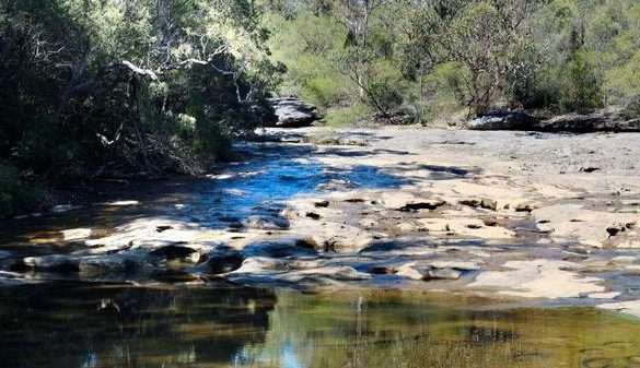 St Ives to Manly via Garigal National Park (35km)