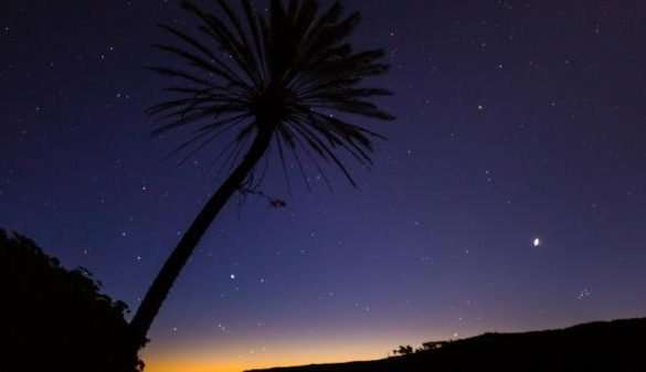 Royal National Park Coast Track (30km) – Night + Rain Hike