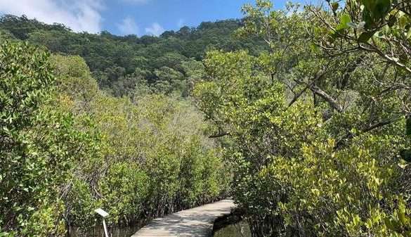 Mount Kuring-gai to St Ives Showground (section 4 of Oxfam Trailwalker) 20km