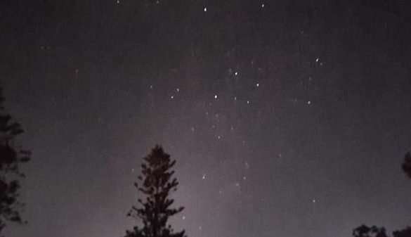 Blue Mountains Lindeman Pass Night Hike (25km) HARD (CANCELLED DUE TO COVID-19 LOCKDOWN)