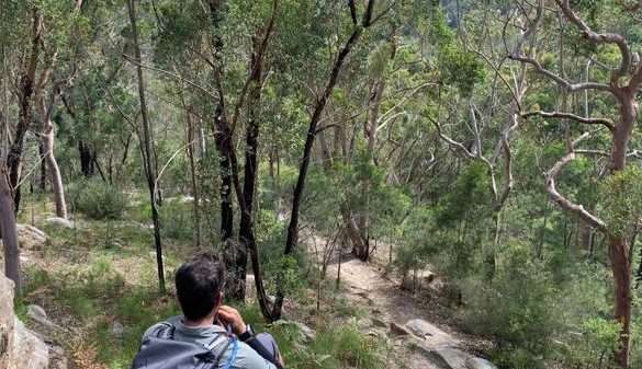 Hornsby to Chatswood via Lane Cove NP (28km) (CANCELLED DUE TO COVID RESTRICTIONS!)
