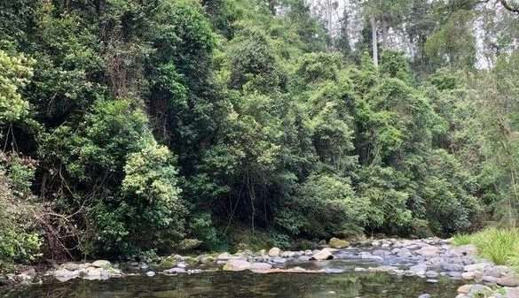 Pre Chrismas Wilderness Multiday Hike @ Barrington Tops (54km, 3 days)