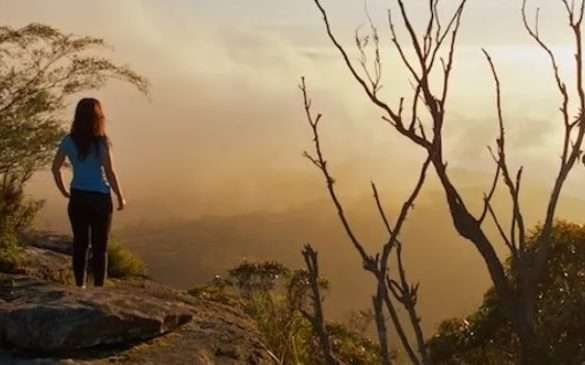 The Wild Dogs (Carlon Head, Splendour Rock, Cattledog Ridge) 28km, 1400m (HARD)