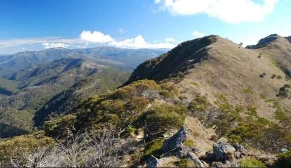 Multiday Hike @ Alpine National Park (63km (3700m+ elev), 4 days)