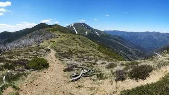 Mt Feathertop Loop @ Alpine National Park (32km, elev 1600m)