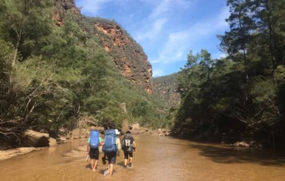 Wollemi NP – Crawfords Lookout to Dooli Creek (off track/overnight)