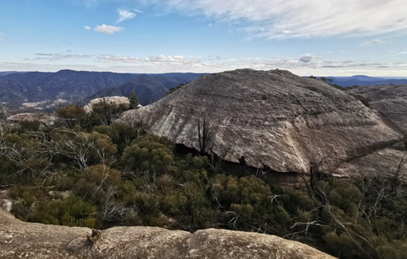 Mittagong Weekend: Bonnum Pic + Mount Jellore Summit (offtrack)