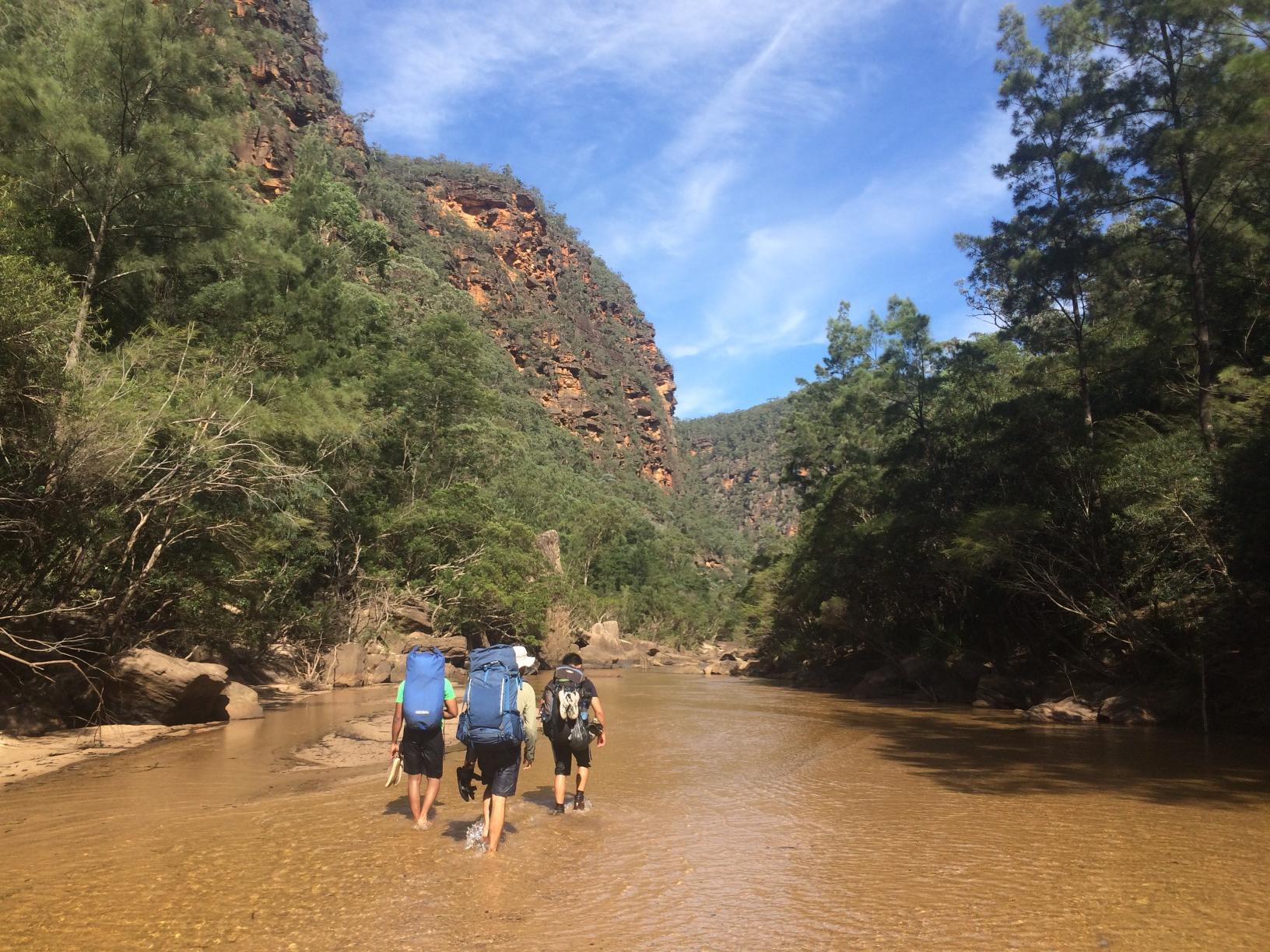 Wollemi NP - Crawfords Lookout to Dooli Creek (off track/overnight)