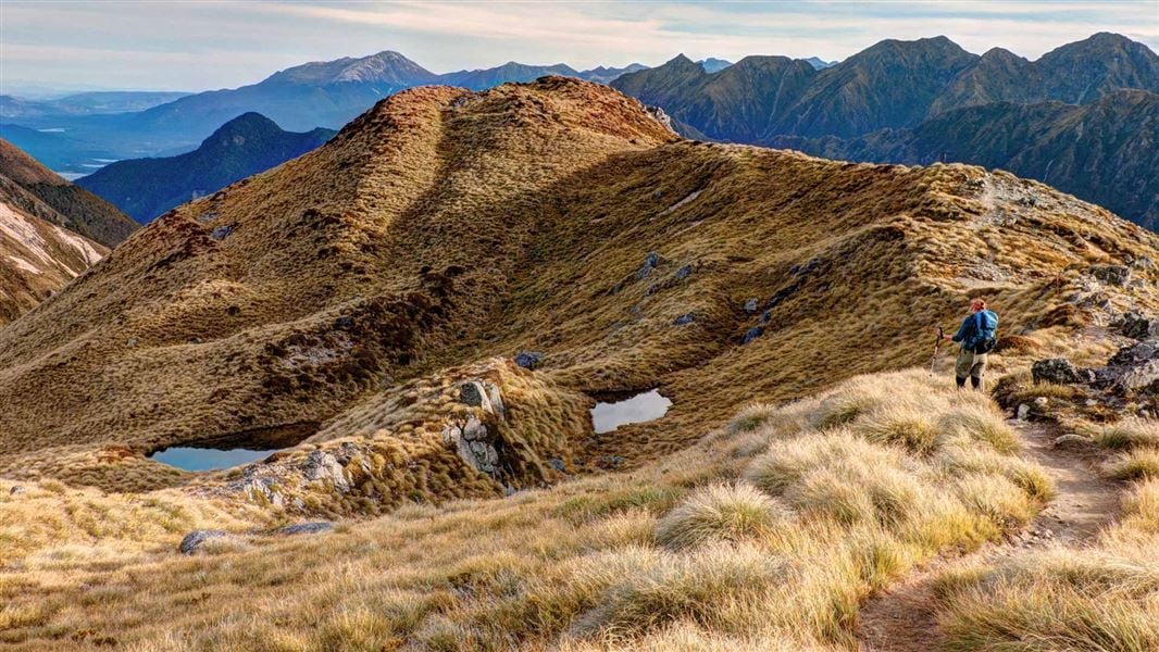Kepler Track - NZ (2 days)